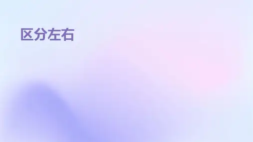 区分左右的课件