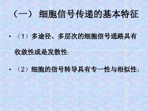细胞信号传递的基本特征.ppt