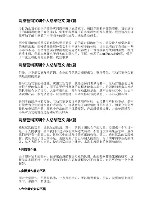 网络营销实训个人总结范文(实用4篇)