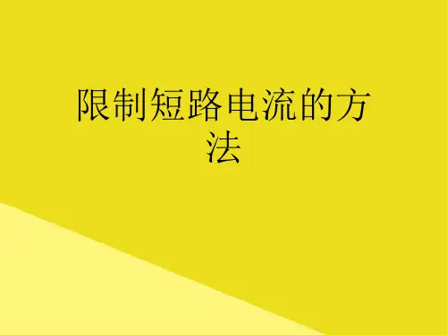 限制短路电流的方法PPT资料(正式版)