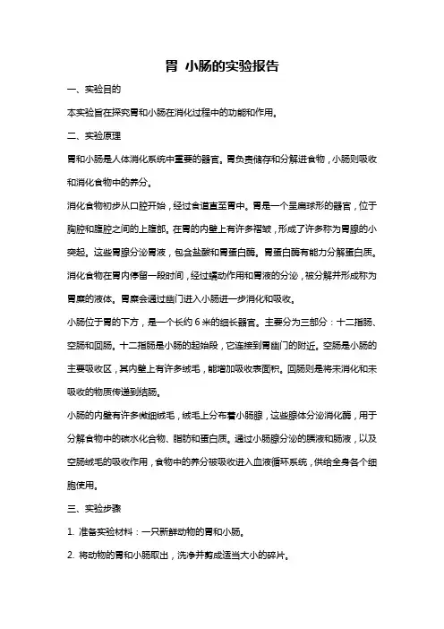 胃 小肠的实验报告