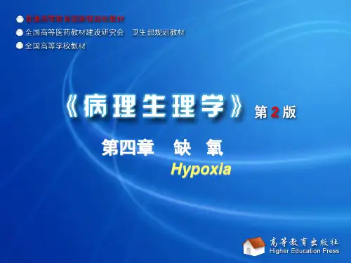缺氧的机理精品PPT课件