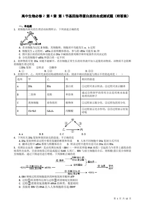 高中生物基因指导蛋白质的合成测试题(附答案)