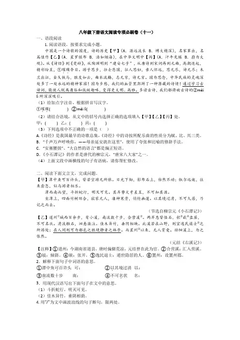 八年级下册语文阅读专项必刷卷11 试卷(含答案)