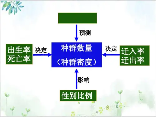 [人教版]《种群数量的变化》经典课件1