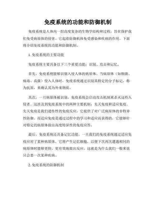 免疫系统的功能和防御机制