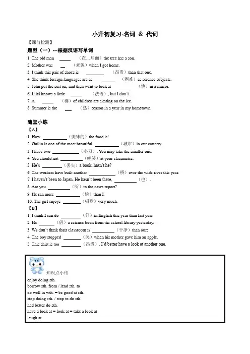小升初名词代词(讲义)译林版英语六年级下册