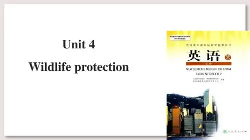 人教版高中英语必修2课件 Unit 4课件
