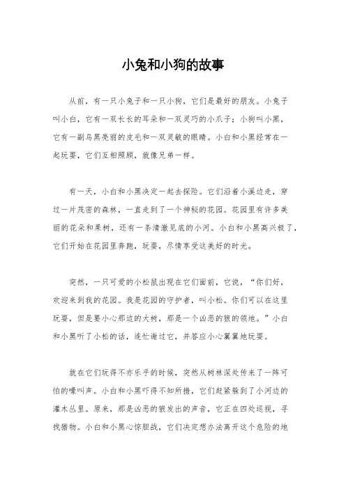 小兔和小狗的故事