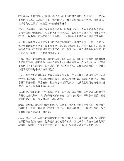 感想感言范文新工作财务