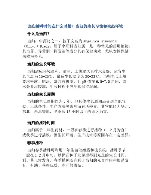 当归播种时间在什么时候当归播种办法以及苗期管理