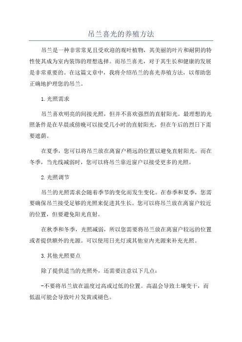 吊兰喜光的养殖方法