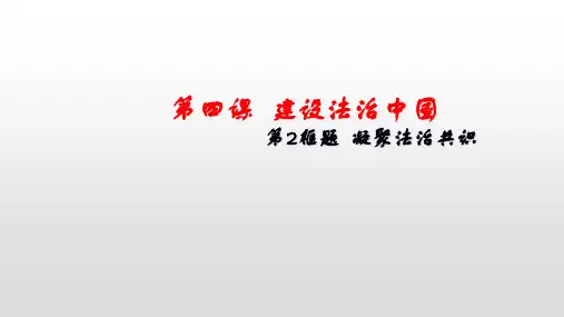 部编版《凝聚法治共识》精美课件PPT3