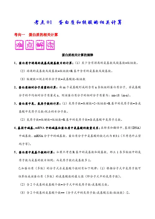 考点01 蛋白质和核酸的相关计算-备战2019年高考生物之困难考点突破(解析版)