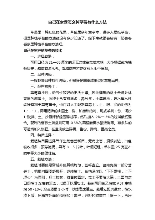 自己在家要怎么种草莓有什么方法