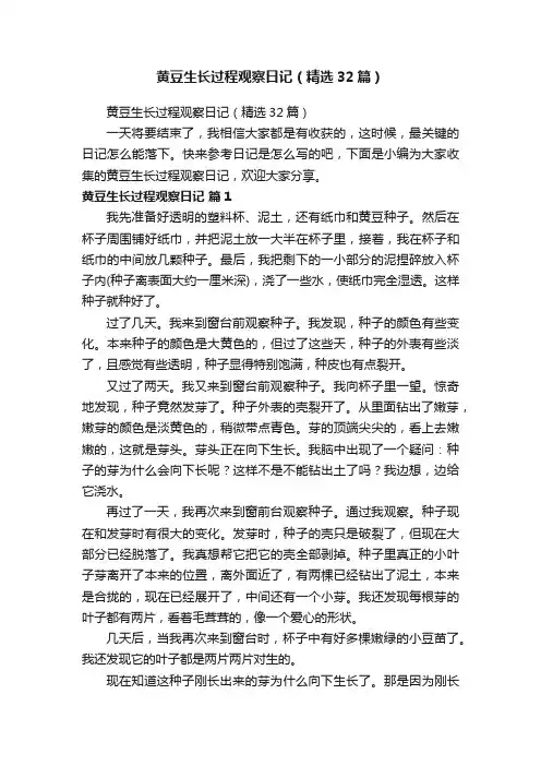 黄豆生长过程观察日记（精选32篇）