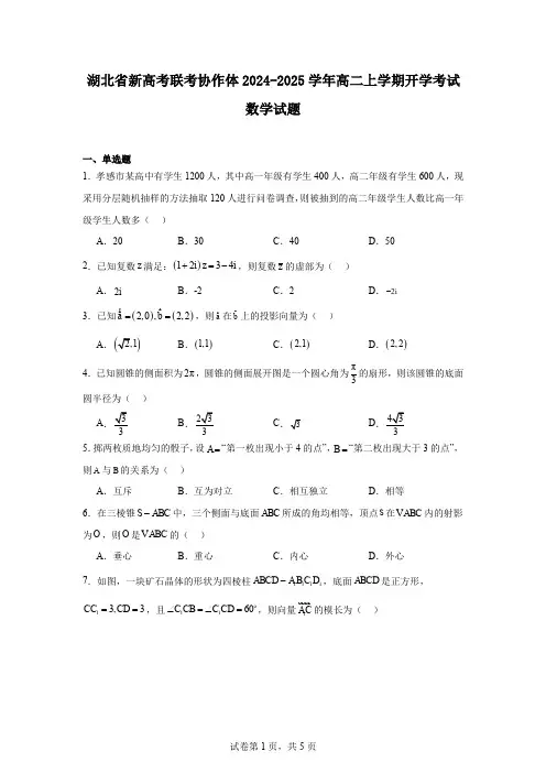 湖北省新高考联考协作体2024-2025学年高二上学期开学考试数学试题