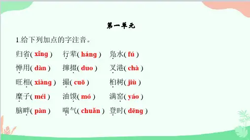 专题一拼音与汉字习题课件共10张PPT