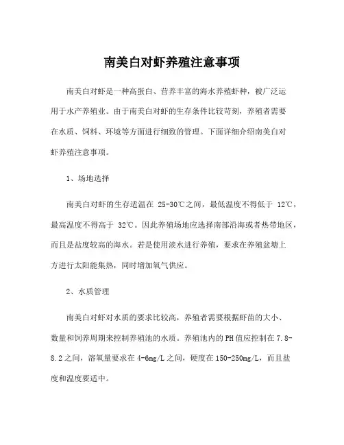 南美白对虾养殖注意事项