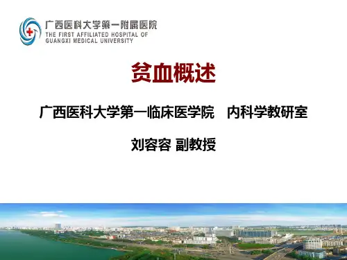 贫血总论