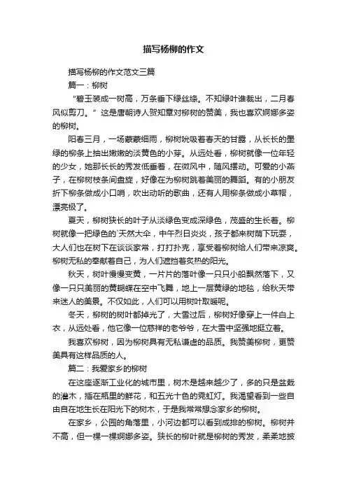描写杨柳的作文范文三篇