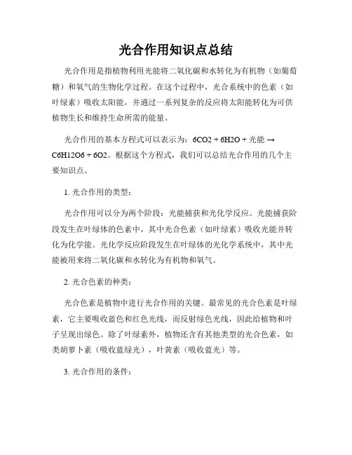 光合作用知识点总结