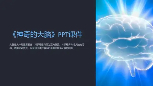 《神奇的大脑》课件