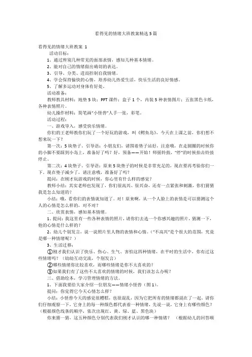 看得见的情绪大班教案精选5篇