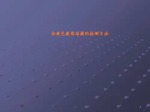 金黄色葡萄球菌的检测方法的ppt课件