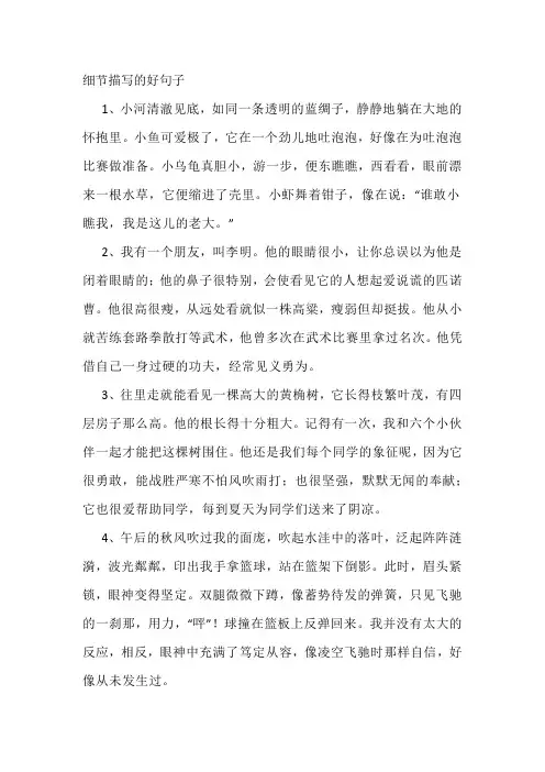 细节描写的好句子