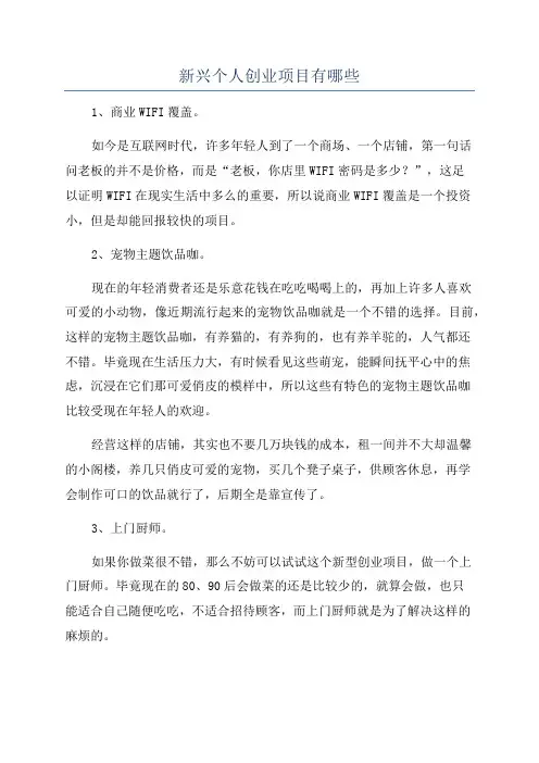 新兴个人创业项目有哪些