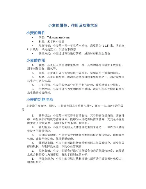 小麦的属性作用及功能主治