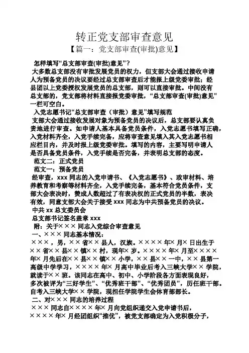 转正党支部审查意见
