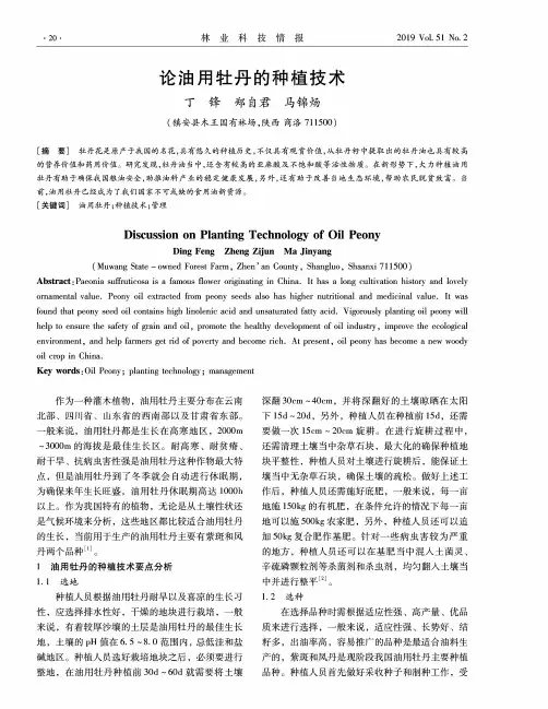 论油用牡丹的种植技术