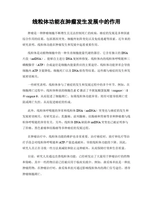 线粒体功能在肿瘤发生发展中的作用