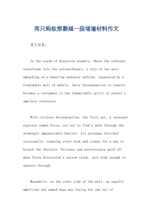 两只蚂蚁想翻越一段堵墙材料作文