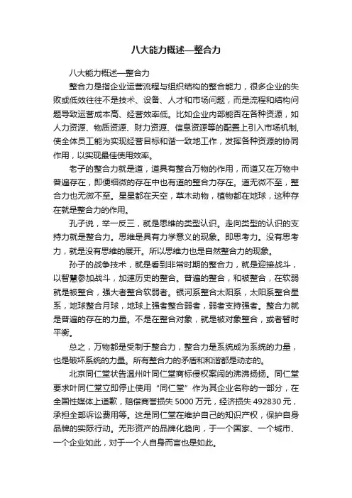 八大能力概述—整合力