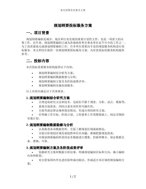 规划纲要投标服务方案
