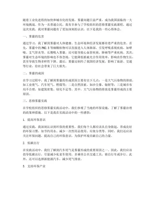 思修雾霾实践心得体会