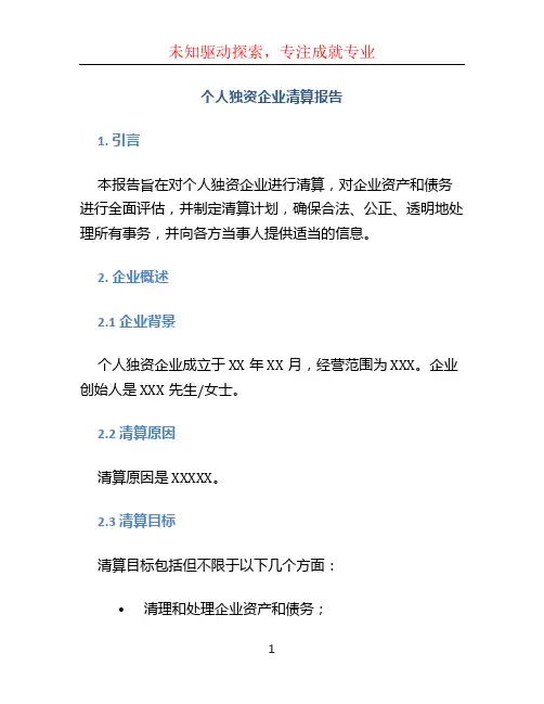 个人独资企业清算报告 (3)