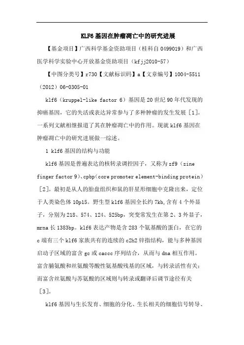 KLF6基因在肿瘤凋亡进展论文