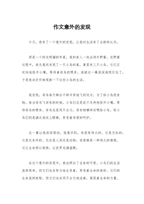 作文意外的发现