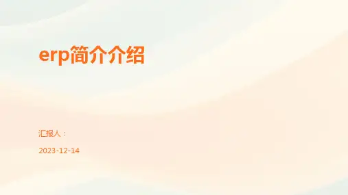 erp简介介绍