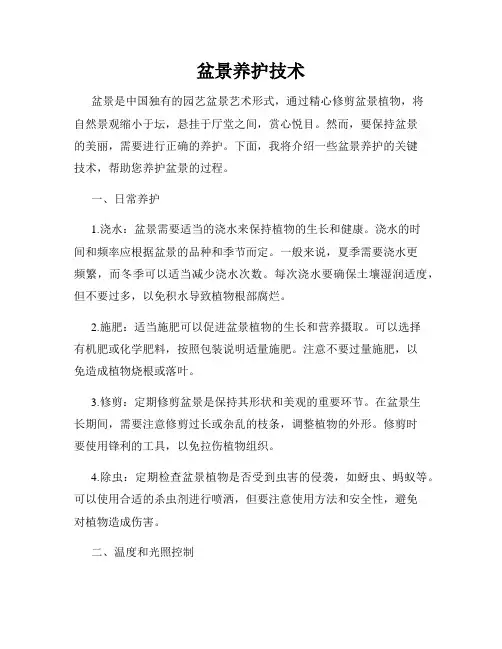 盆景养护技术