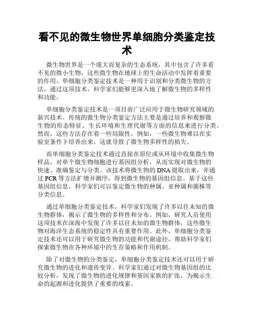 看不见的微生物世界单细胞分类鉴定技术