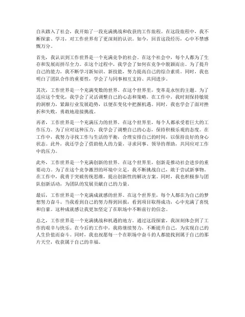 工作世界探索感想