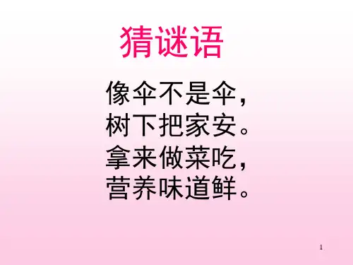课文二《房顶上的大蘑菇》一年级下北京版_图文