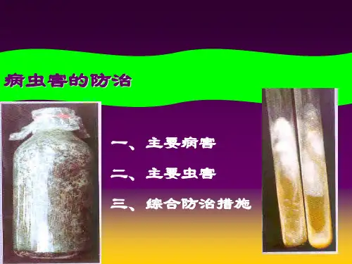第九章 食用菌的病虫害及其防治精品PPT课件