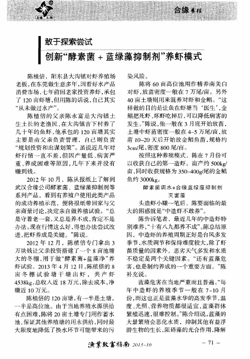 敢于探索尝试创新“酵素菌+蓝绿藻抑制剂”养虾模式