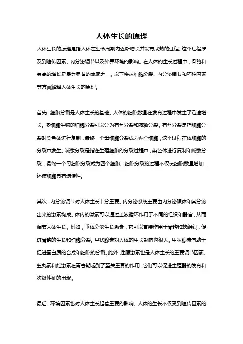 人体生长的原理